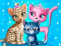 Cat Hair Salon image
